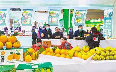 史上規(guī)模最大農(nóng)交會:展品超過8萬種