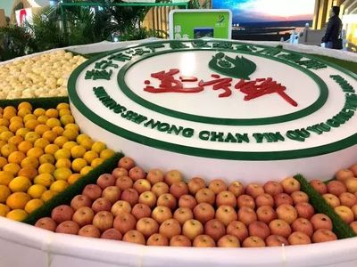 點贊!&ldquo;遂寧鮮&rdquo;成為全國首例&ldquo;地域+產(chǎn)品特性&rdquo;綜合型農(nóng)產(chǎn)品公用品牌