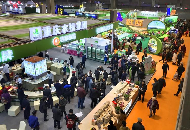 西部農(nóng)交會(huì)開(kāi)幕 6500多種農(nóng)產(chǎn)品等你一站購(gòu)年貨