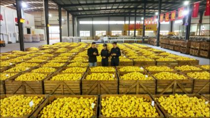 柑橘、檸檬、大蒜……重慶特色農(nóng)產(chǎn)品出海喜迎“開門紅”